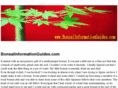 bonsaiinformationguides.com