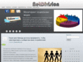 netdivision.ru