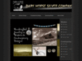 darkhorsesilver.com