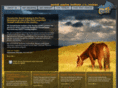 gestaltequineinstitute.com