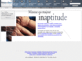 inaptitude-notaire.com