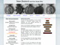 nzef-ww1.com