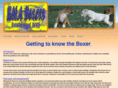 balaboxers.com