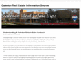 caledonrealestatetips.com