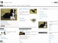 nedric-wind.com