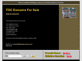 toc-americas.com