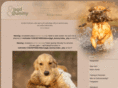 jagd-dummytraining.de