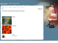 mindefforts.com