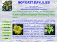 noreastdaylilies.com