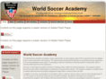 world-soccer-academy.com