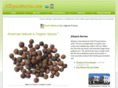 allspiceberries.com