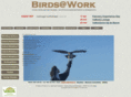 birdsatwork.nl