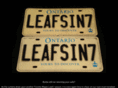 leafsin7.com