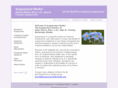 acupunctureworksak.com