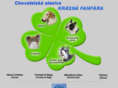 boston-barzoi.com