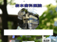 dent-iwamoto.com
