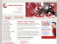 seattlecarpetcleaning.us
