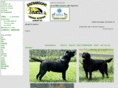 shenandoahlabradors.com