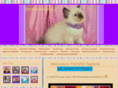 australian-ragdoll.com