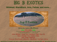 bigbexotics.com