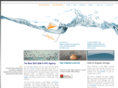 bigfin.com
