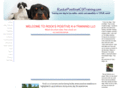 rockspositivek9training.com