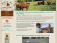 bisonfarm.co.uk