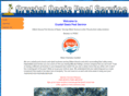 crystaloasispools.com