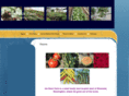 irisrockfarm.com