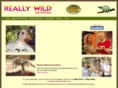 reallywild.co.uk