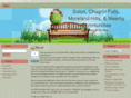 thecityofsolon.com