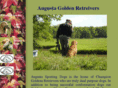 augustagoldenretrievers.com