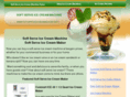 softserveicecreammachine.info