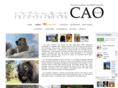 cao-cousins.com