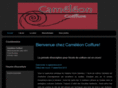 cameleoncoiffure.com