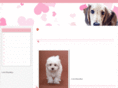 dog-leaf.com