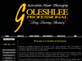 goleshlee.com