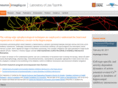 neuronimaging.ca