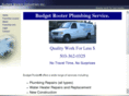 budgetrooter.com