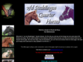 vdshorses.com