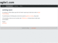 agileg.com
