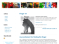 fingermagazine.com