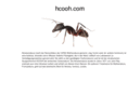 hcooh.com