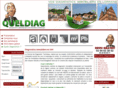 queldiag.com