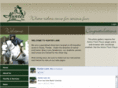 hunterlaneinc.com