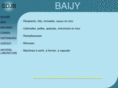 baijy.com