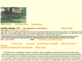 cabinonlakewhitney.com