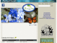 discoverpalmcoast.com
