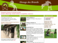 elevage-des-briards.fr