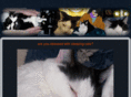 hissingdogs.com